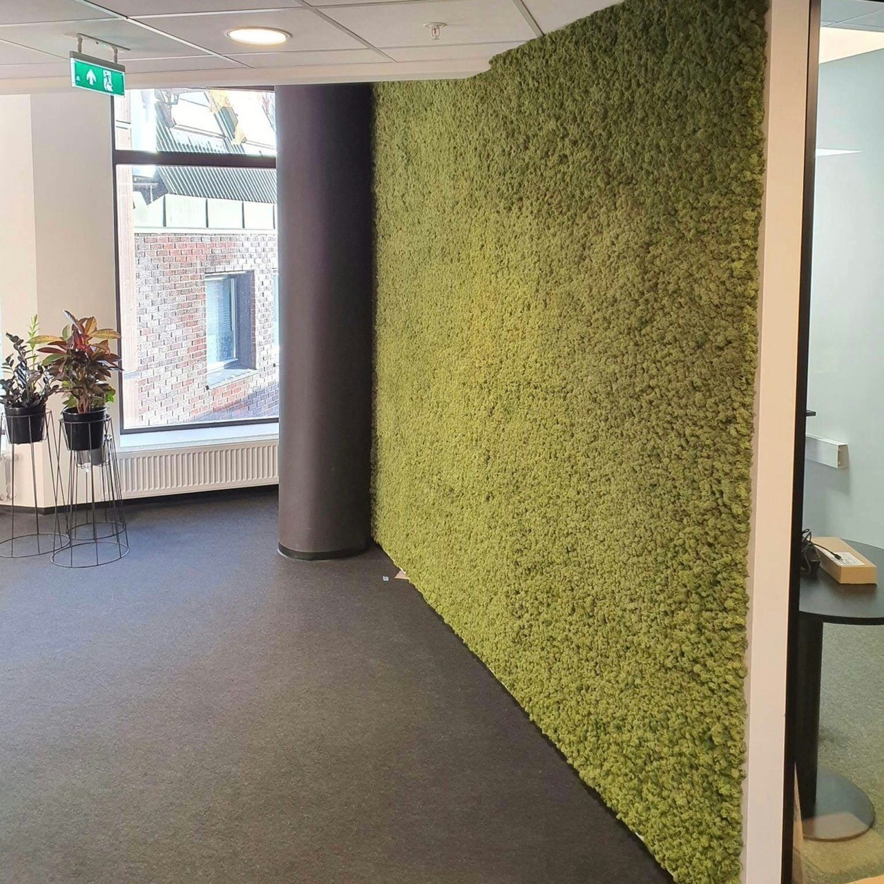 Lydabsorberende mosevegg på kontor