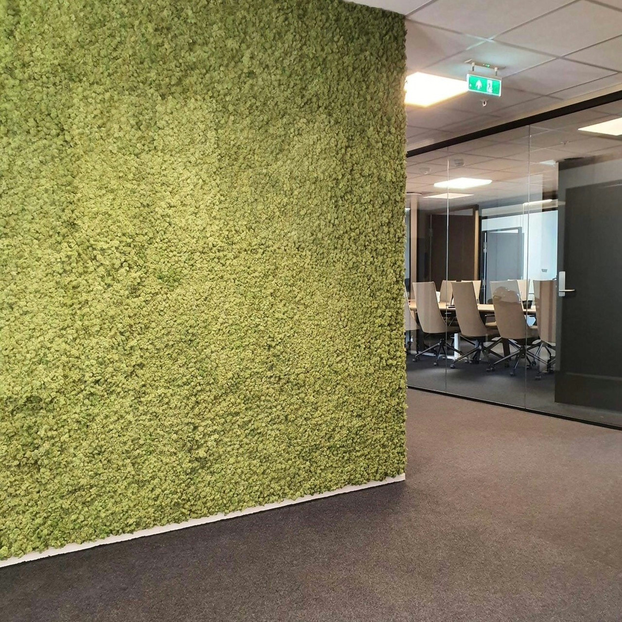 Lyddempende mosevegg på kontor i Oslo
