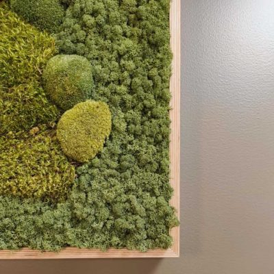 Detalj av lyddempende mosebilde hos DNB i Bergen
