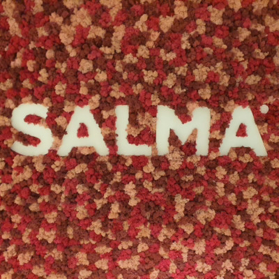 Lyddempende mose vegg på kontoret til Salma