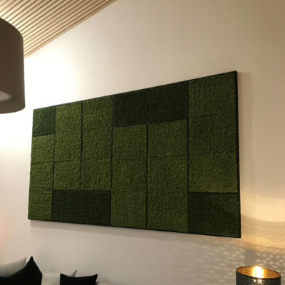 Mose bilde fra WALL-IT