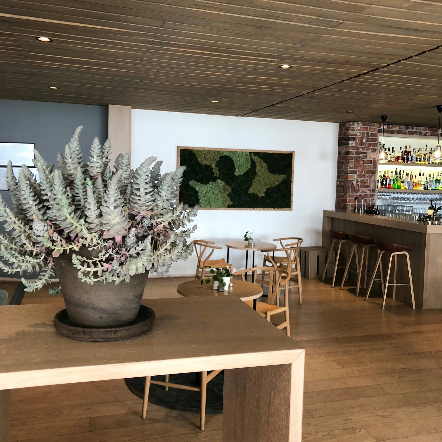 Mosebilde på Rosfjord Strandhotell