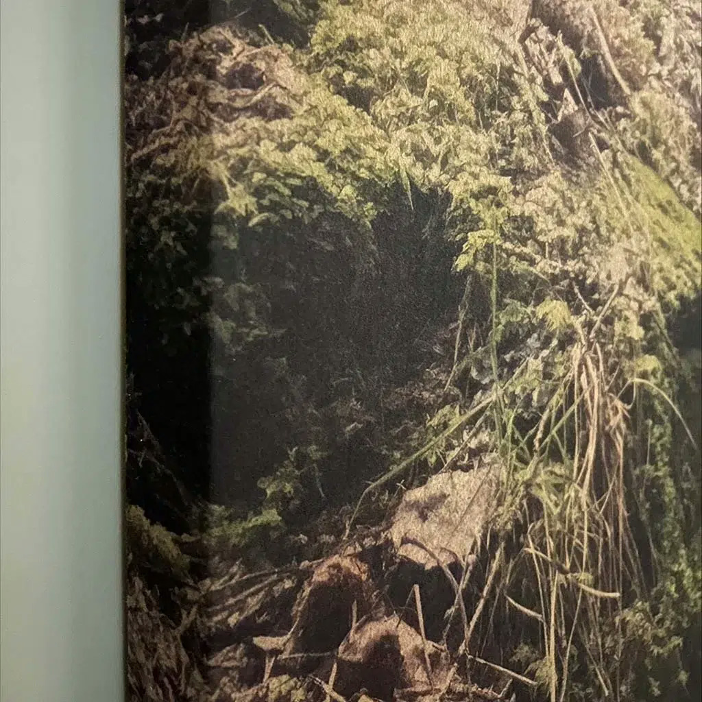 Lyddemping med fotoprint