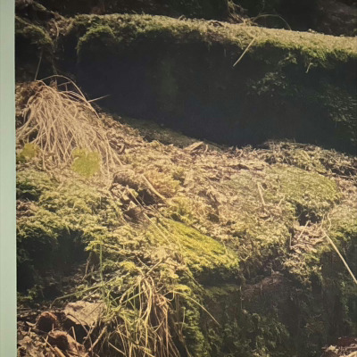 Lyddemping med lydabsorberende fotoprint