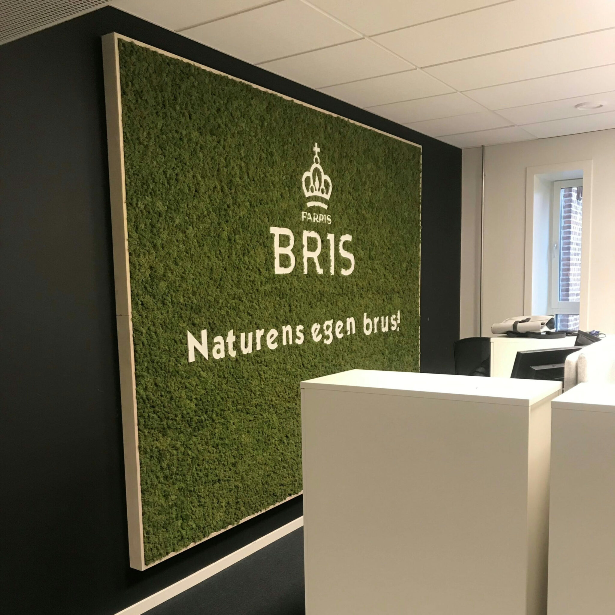 Biofilisk design med lekker grønn mose vegg på kontoret til Farris Bris