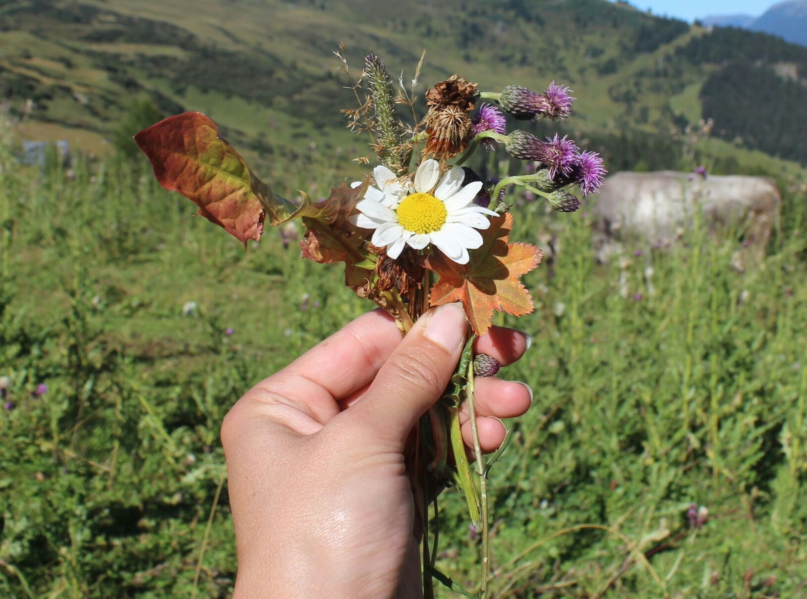 Blomstertapet laget av ekte blomster