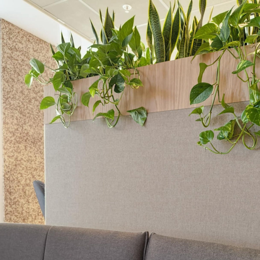 WALL-IT Organoid lydabsorbenter installert hos Bouvet